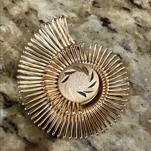 Elegant Gold  scarf clip